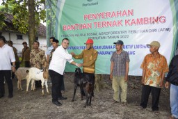 Perhutani KPH Jombang dan Pemkab, Salurkan Bantuan Kambing