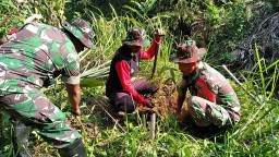 Karya Bhakti Koramil 1906/Skt Dim 0619/Pwk Ajak Warga Tanam 50 Pohon 