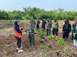 Peduli Lingkungan, Koramil 1908/PWK Bersama Aparatur Desa Citalang Tanam 50 Batang Pohon Keras
