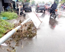 Pasca Roboh Tertimpa Pohon Tiang PJU Ganggu Aktivitas Lalu Lintas