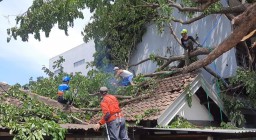 Hujan Bercampur Angin Rusak Rumah, Fasum, dan Robohkan Pohon