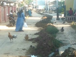 Pasca Banjir Bandang Warga Gorontalo Mengalami Gangguan Kesehatan