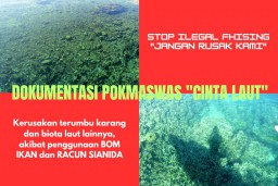 Pokmaswas Cinta Laut Kecam Kerusakan Biota Laut Akibat Penggunaan Bondet dan Sianida