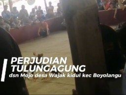 Kapolsek Boyolangu Diduga Tutup Mata Terkait Dugaan Lokasi Perjudian Desa Wajak Kidul
