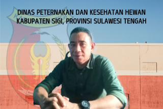 Digelontor DAK 26 Milliar Disnakkeswan Sigi Genjot Pembangunan Sarpras Sektor Peternakan