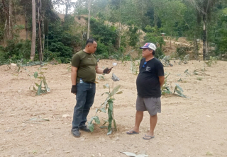 Isu Tambang Ilegal di Sigi Kota Terbantahkan, Ternyata Kebun Durian dan Kakao