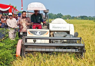Mentan Amran Sulaiman: Pemerintah Berkomitmen Penuhi Kebutuhan Petani untuk Dongkrak Produksi Padi Nasional