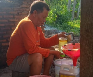 Nilam Dinilai Menjanjikan Jadi Komoditi Unggulan di Tojo Una-Una