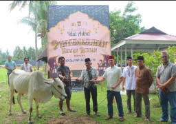 Polres Sigi Sembelih 9 Hewan Kurban, Daging Dibagikan ke Warga dan Pekerja Harian