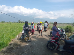 Jalan Usaha Tani Karawana Mulai Dibangun, Akses Petani Kini Lebih Lancar
