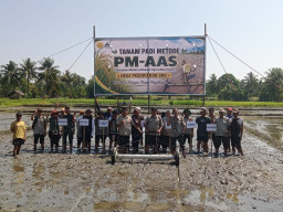 PM-AAS Masuk Pesaku, Sigi Pacu Sawah Modern