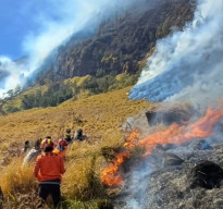 10 Hektare Hutan TNBTS Terbakar, Petugas Bertaruh Nyawa Jinakkan Api