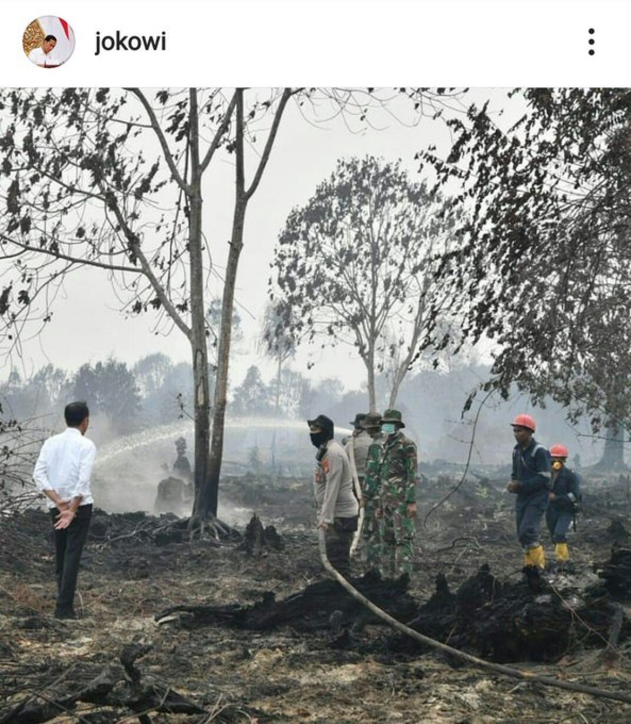 Presiden Joko Widodo meninjau kebakaran hutan