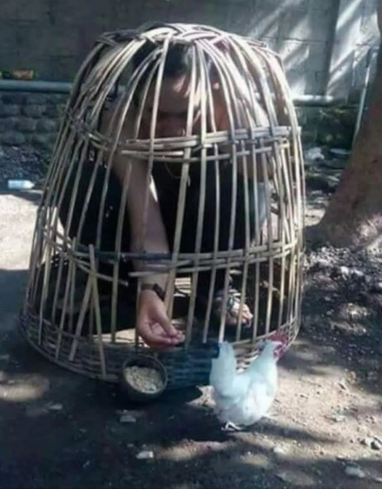 Pengadaan Ayam Petelor Dan Ayam Potong, Desa Sipure Diduga Fiktif