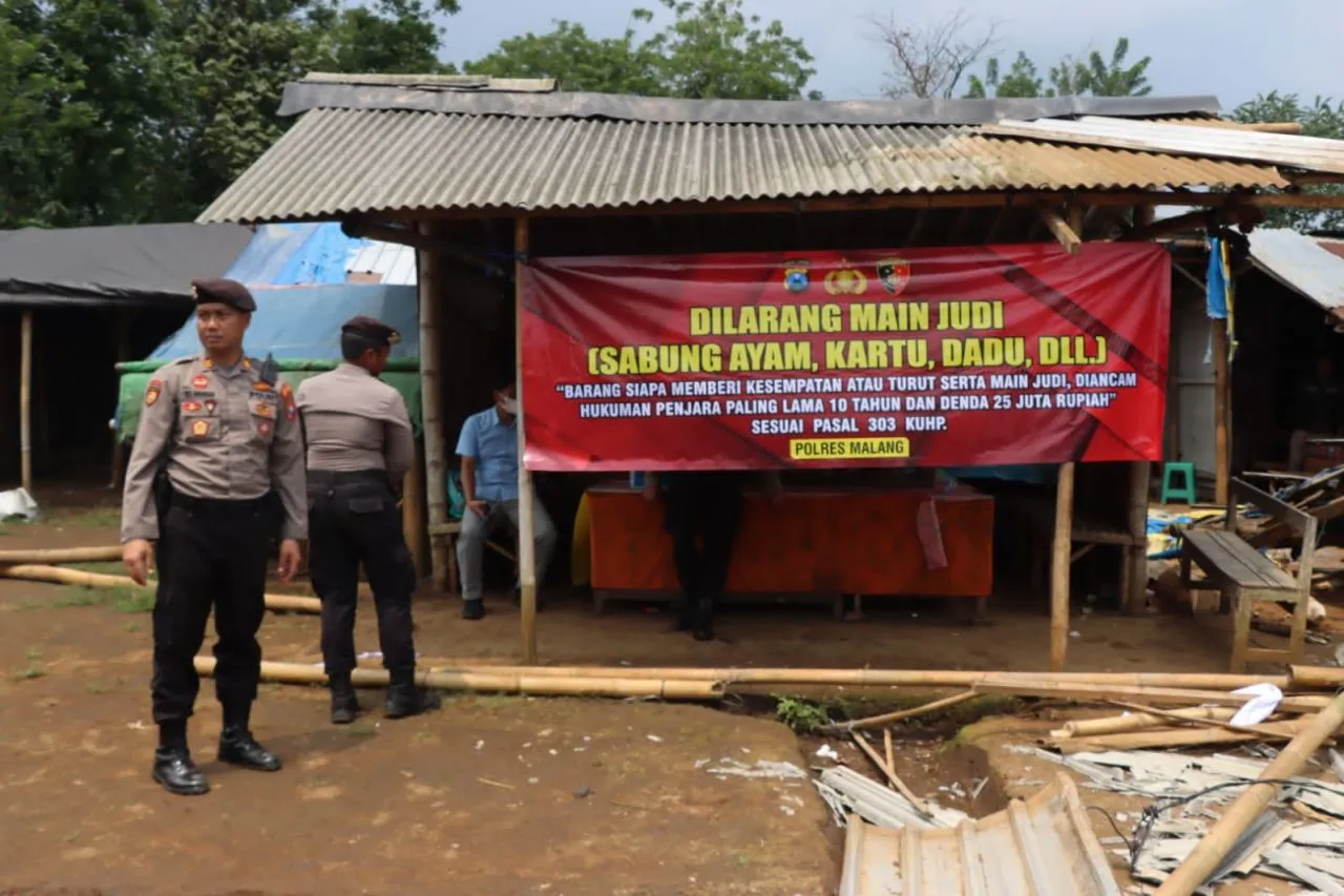 Forkopimda Kab.Malang, Bongkar Arena Judi Sabung Ayam