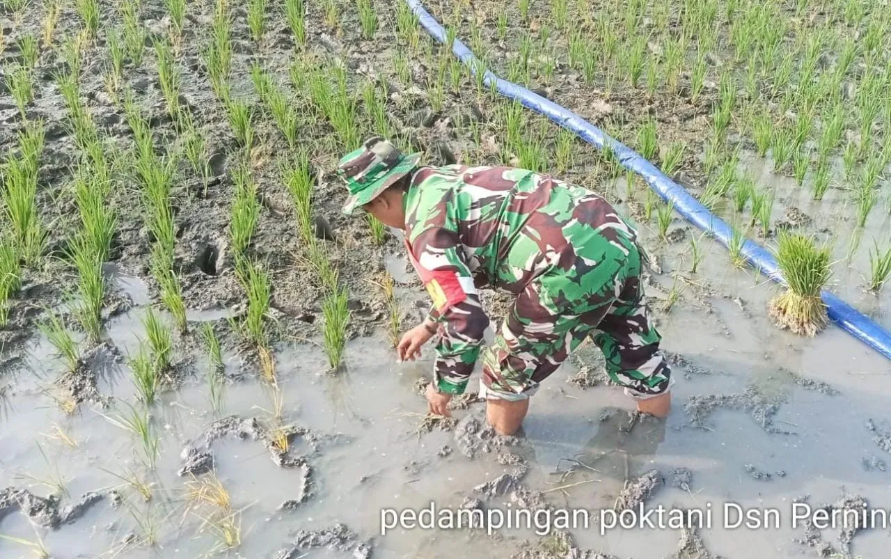 Babinsa Koramil 0815/07 Jetis Bantu Petani Alirkan Air Dari Sumur Bor