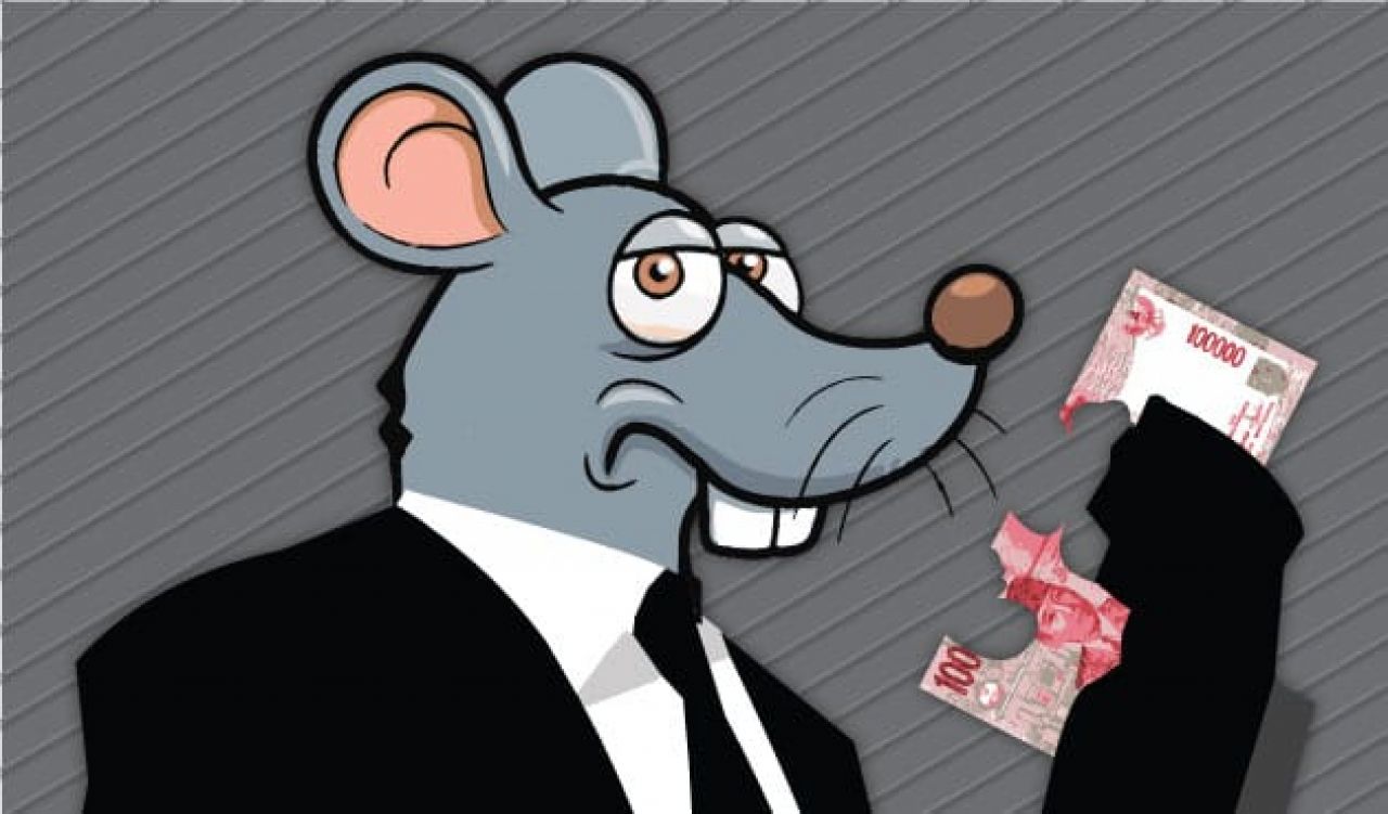 Caption : Ilustrasi Tikus Berdasi