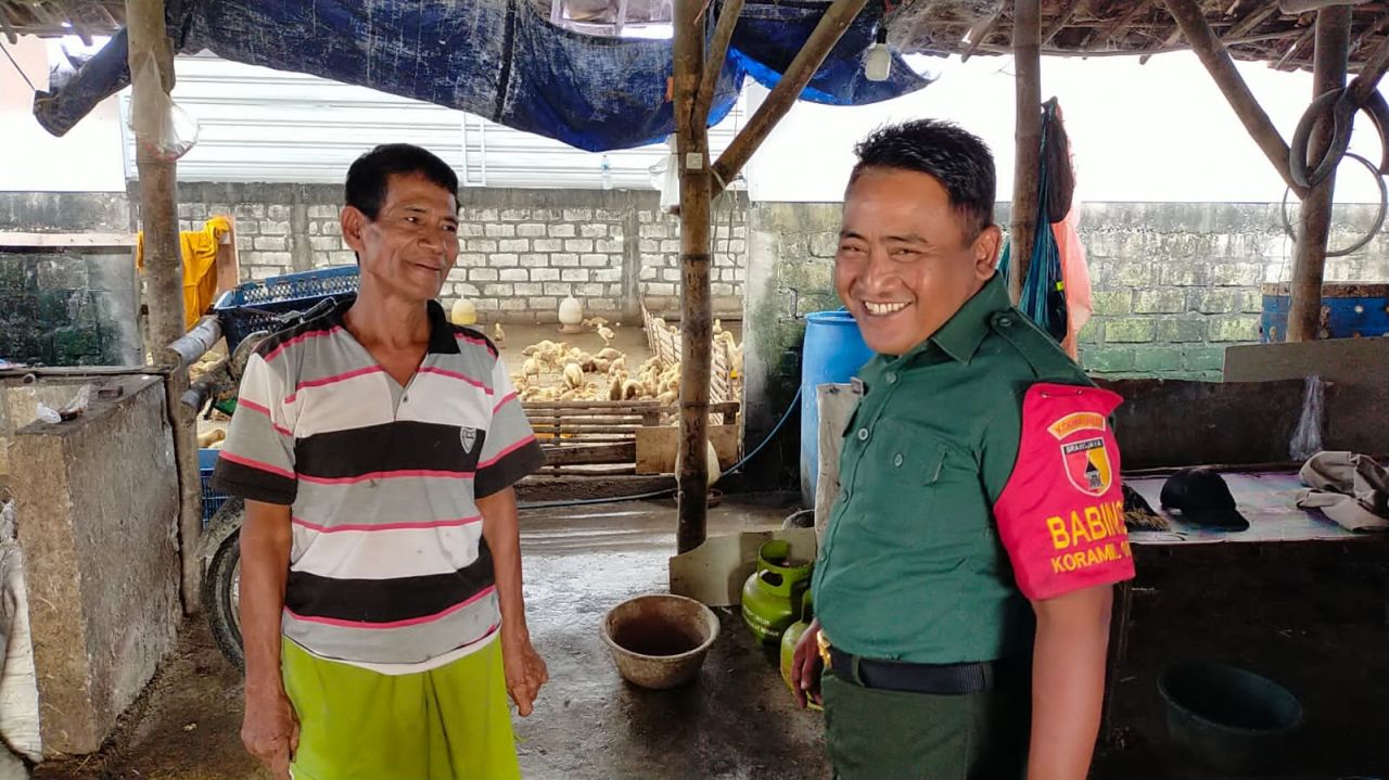 Babinsa Koramil 0817/09 Balongpanggang, Serda Andrias Saat Melaksanakan Komsos Dengan Mengunjungi Tempat Usaha Peternakan Bebek Peking Diwilayah Binaannya