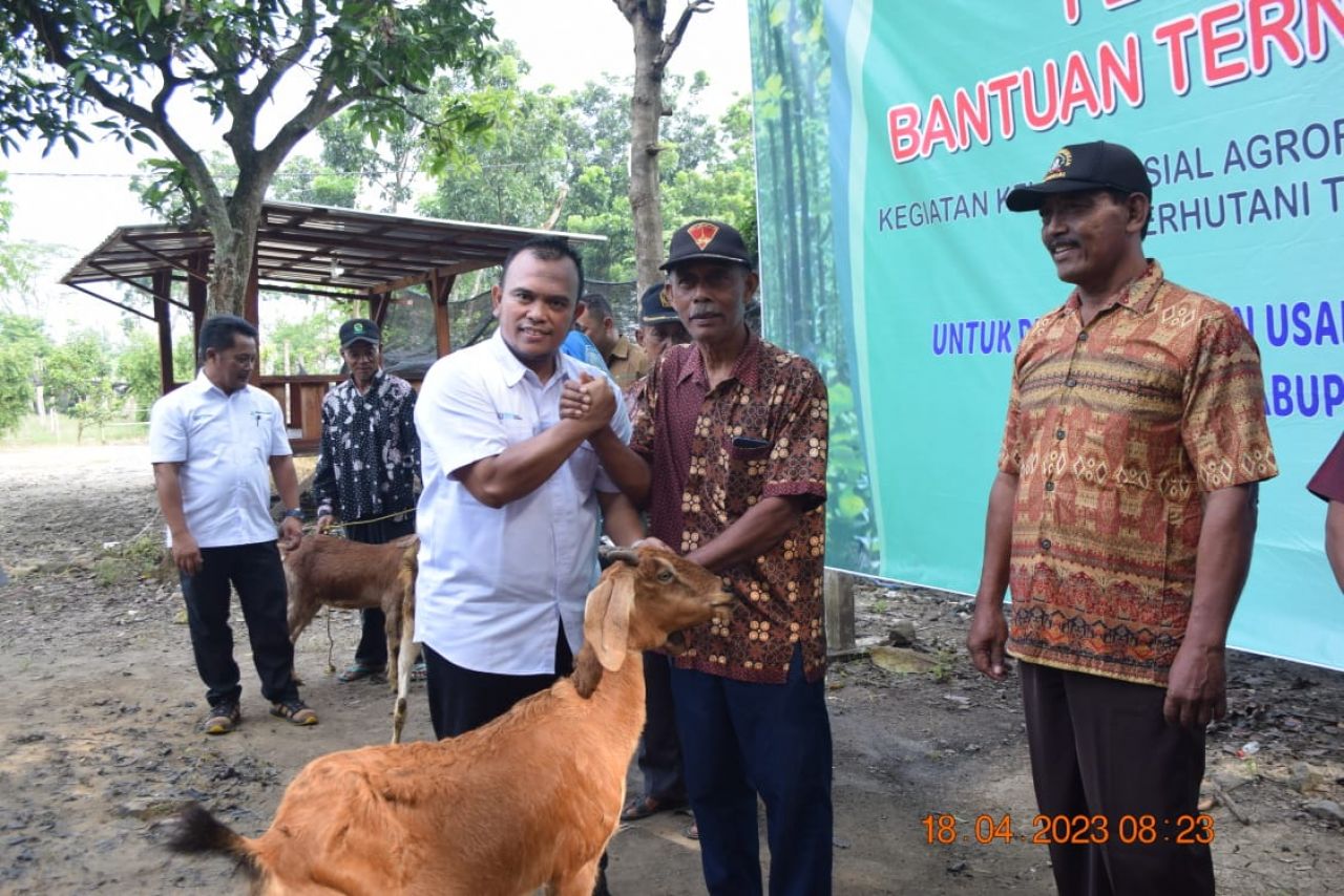 Simbolis : Kadivreg Perhutani Jawa Timur serahkan bantuan ternak kambing pada salah satu perwakilan LMDH Kecamatan Lengkong Kabupaten Nganjuk