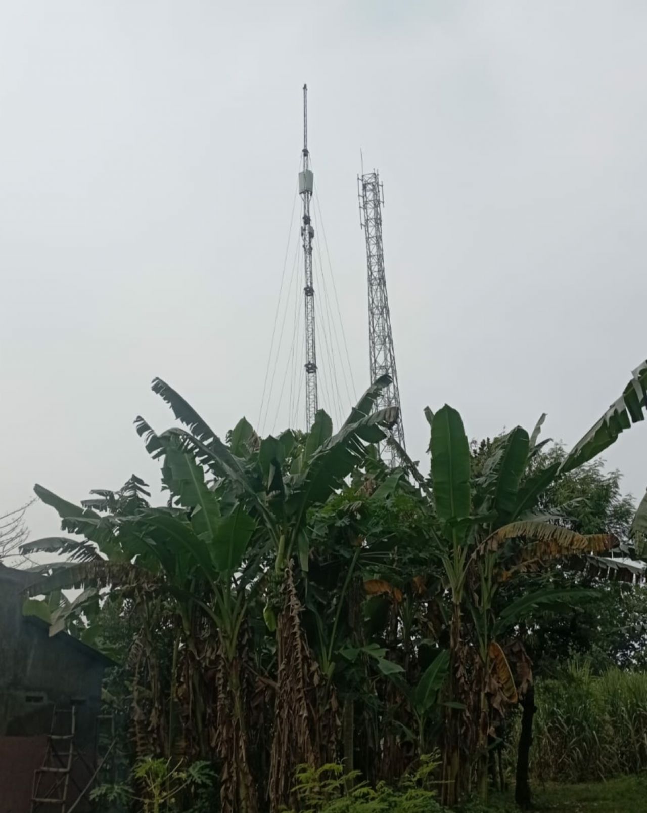Caption : Tower COMBAT Yang Berdiri di Dusun Pelabuhan Desa Jetis Kecamatan Jetis Kabupaten Mojokerto