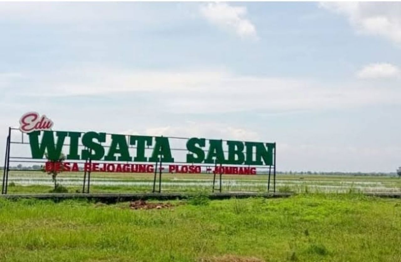 Wisata : Desa Rejoagung Kecamatan Ploso Kabupaten Jombang,kembangkan potensi persawahan untuk wisata