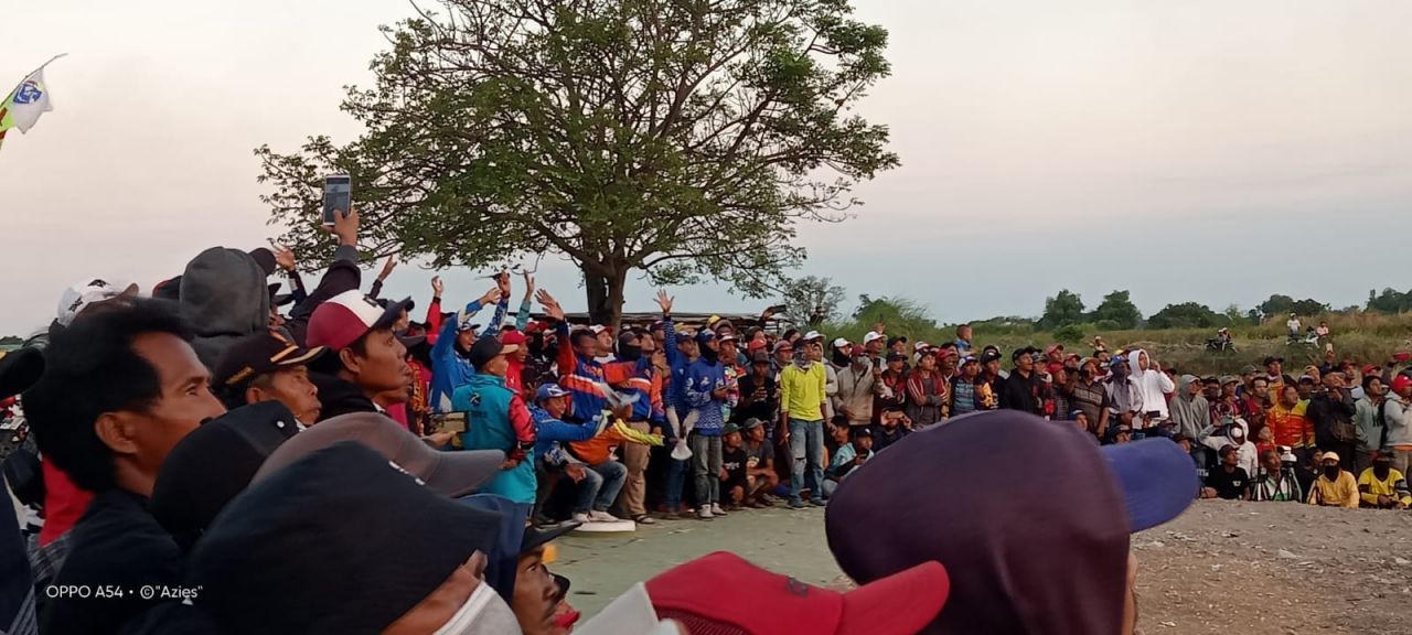 Merpati Sprint : Para joki merpati balap sedang melakukan aksi memikat merpati jantan agar bisa mendapatkan waktu tercepat dalam lomba