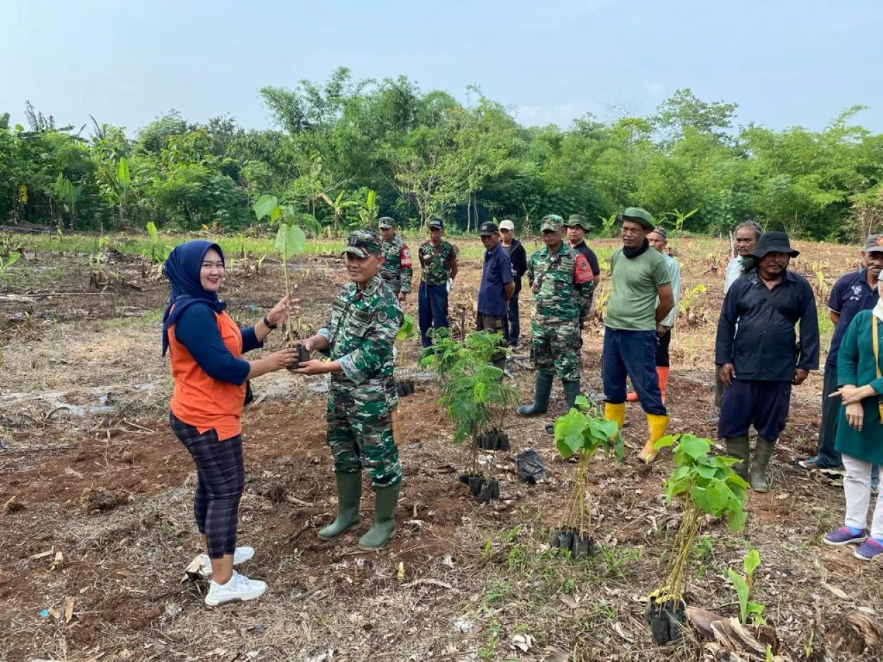 Peduli Lingkungan, Koramil 1908/PWK Bersama Aparatur Desa Citalang Tanam 50 Batang Pohon Keras