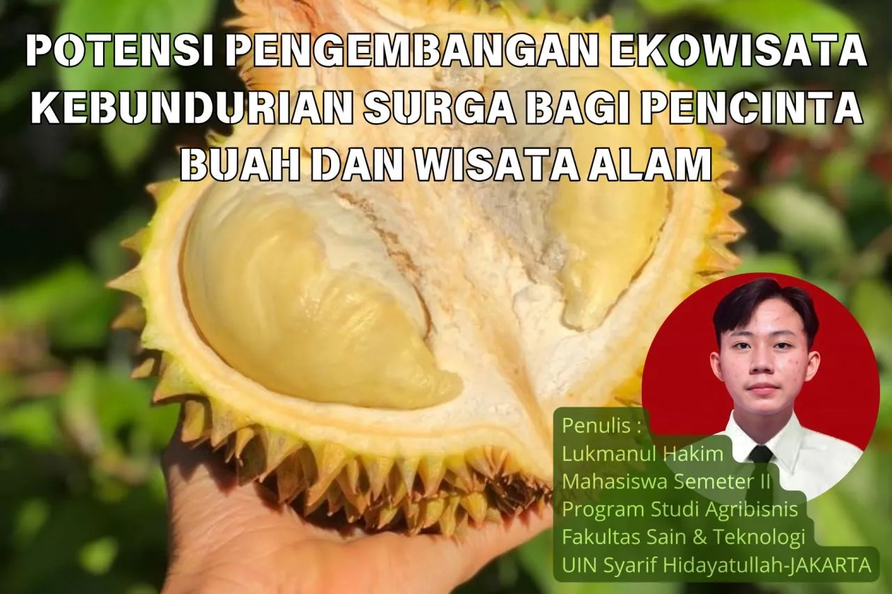 Potensi Pengembangan Ekowisata Kebun Durian Surga Bagi Pencinta Buah dan Wisata Alam