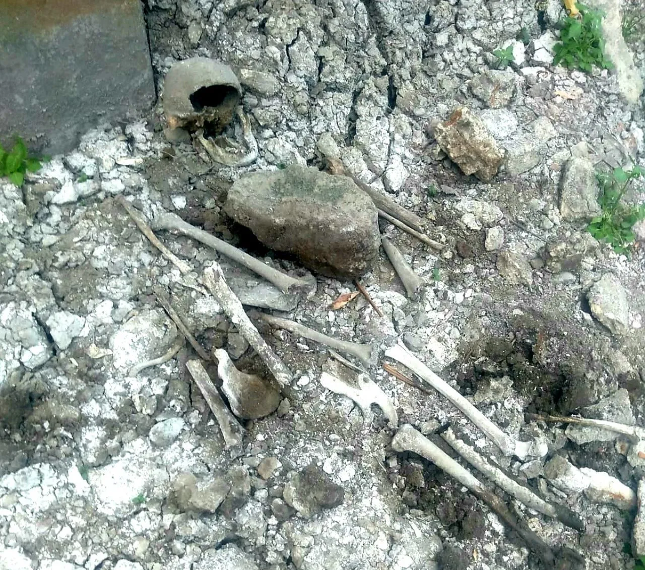 Gempar : Mudi Temukan Kerangka Manusia Saat Memancing di Sungai Wonorejo