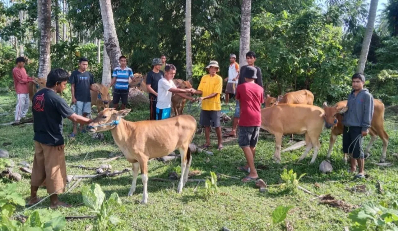Wakil Ketua BPD dan Kades Sipayo Tepis Tudingan Kecerobohan Penyaluran Sapi dan Jambanisasi