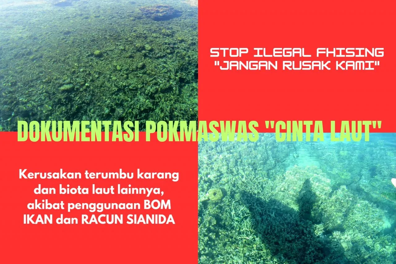 Pokmaswas Cinta Laut Kecam Kerusakan Biota Laut Akibat Penggunaan Bondet dan Sianida