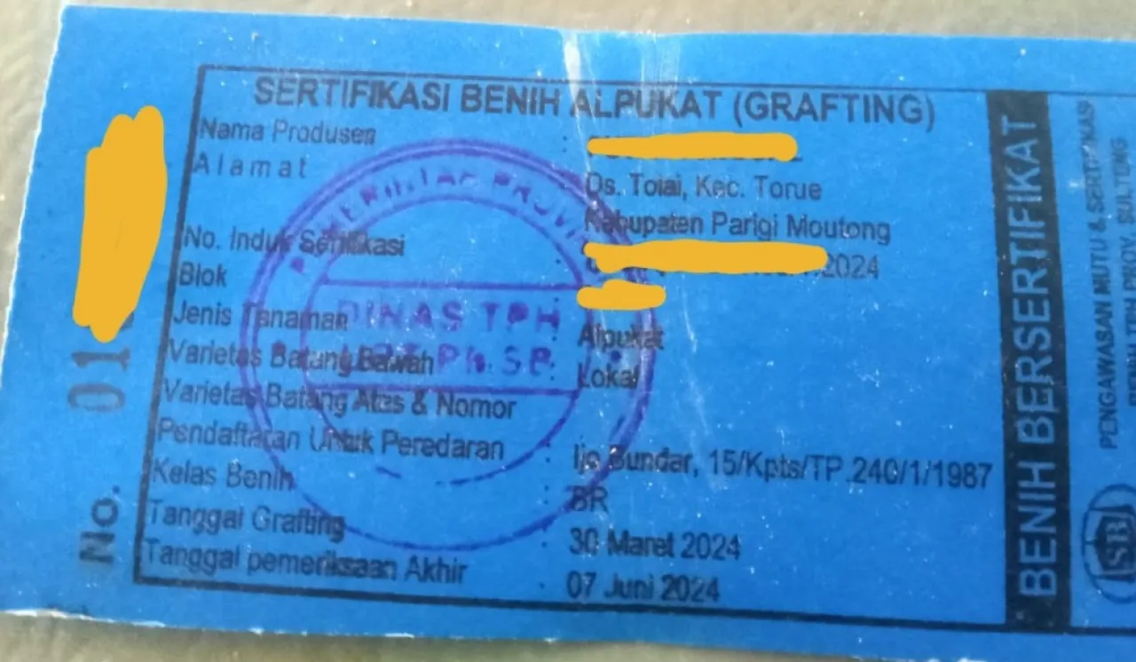 Menguat : Dugaan Pungli Label Sertifikasi Bibit Durian dan Alpukat di DTPH Sulteng