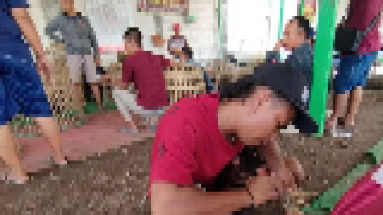 Sabung ayam : nampak salah satu joki sabung ayam sedang merawat Ayam Jago yang akan di adu