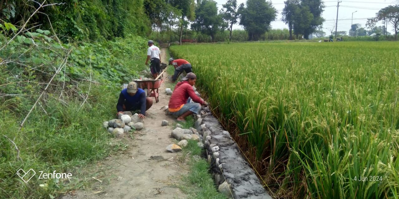 Para pekerja sedang melalukan pembangunan Tembok Penahan Jalan (TPJ) di area persawahan Dusun Losari, Desa Mejoyo Losari (foto ; darmanto_beritaformat.com)