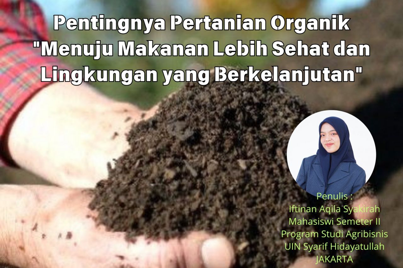 Penulis merupakan mahasiswi semester II program diploma agribisnis UIN Syarif Hidatullah Jakarta (foto : penulis/redaksi_beritaformat.com)