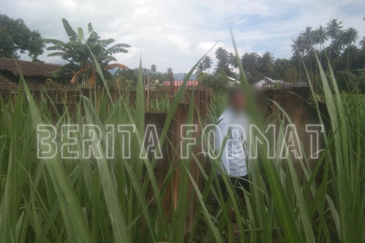 Proyek pembangunan rumah adat Desa Sigenti Barat senilai 200 juta yang mangkrak sejak 2018 lalu, kini ditumbuhi rumput gajah setinggi orang dewasa (foto : asri_beritaformat.com)