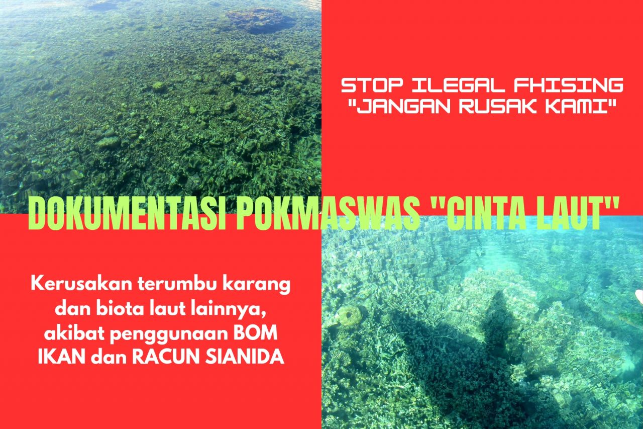 Dampak ilegal fhising menggunakan Bondet dan Sianida yang merusak biota laut dan menghancurkan terumbu karang (foto : pokmaswascintalaut/asri_beritaformat.com)