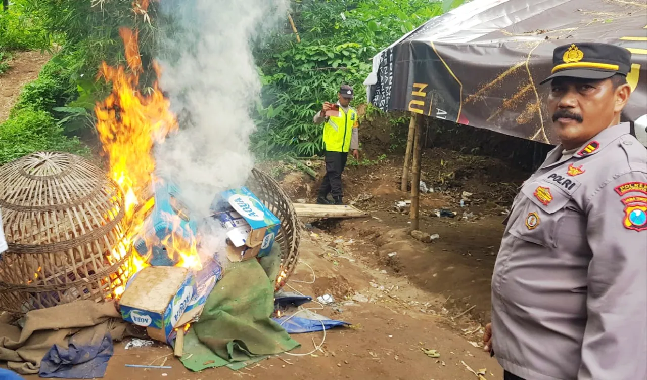 Polsek Trowulan Bongkar Tempat Judi Sabung Ayam di Dusun Botok Palung