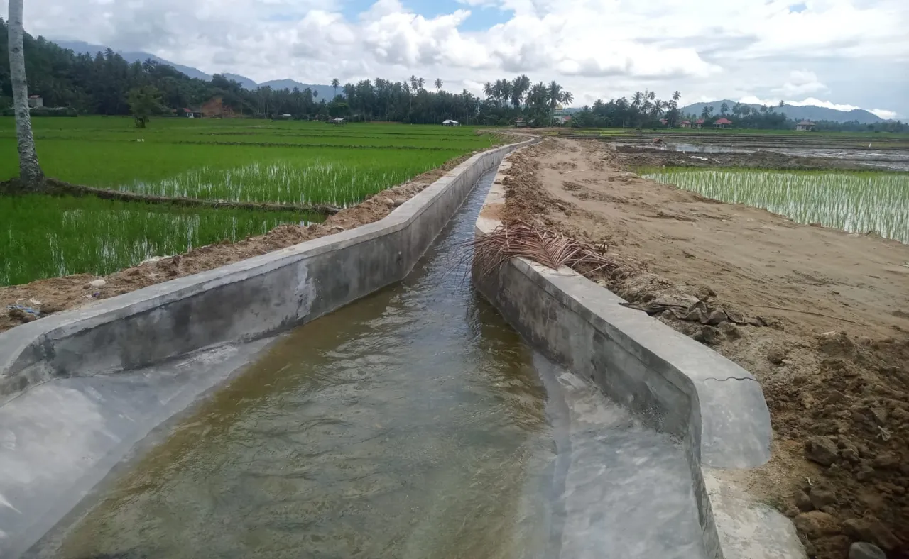 Rehabilitasi Jaringan Irigasi di Tolitoli Selesai, Petani Siap Panen