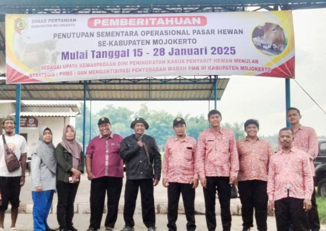 357 Sapi di Mojokerto Terinfeksi PMK, Pemkab Tutup Pasar Hewan