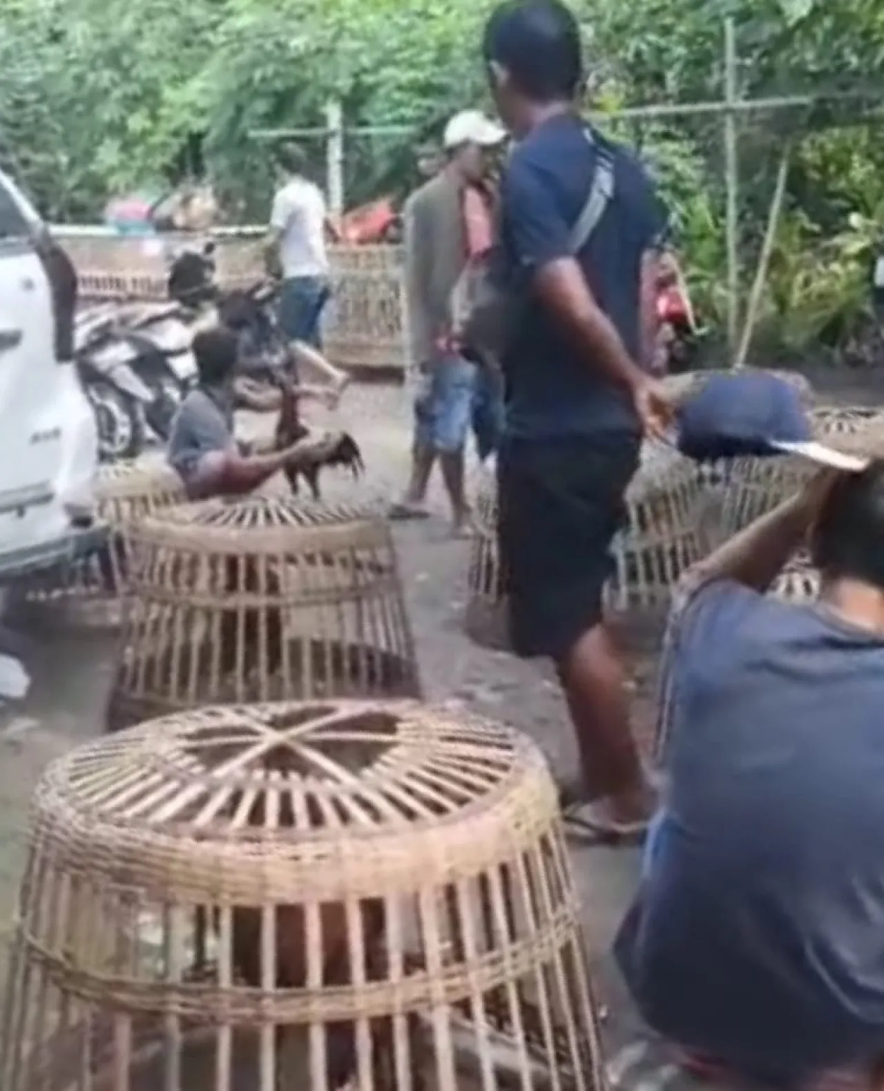 Warga Magetan Desak Polisi Usut Tuntas Kasus Judi Sabung Ayam dan Kekerasan