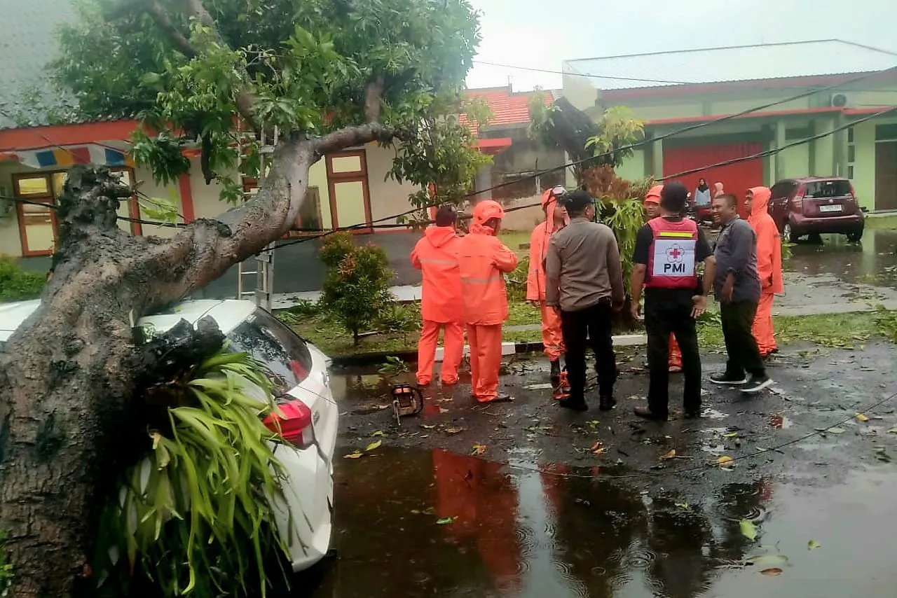 Hujan Deras Disertai Angin, Pohon Tumbang Timpa Mobil dan Gedung BLK Mojokerto