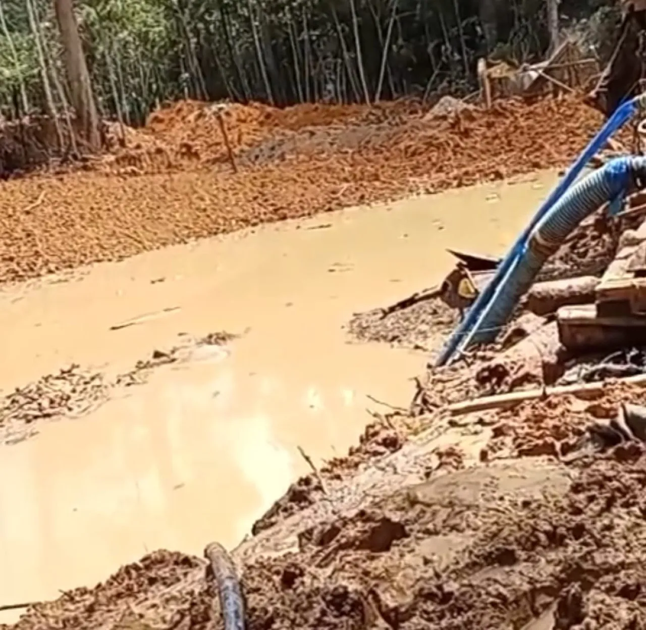 Eksploitasi Ilegal di Sipayo: PROGIB Sulteng dan Camat Sidoan Desak Aparat Tegakkan Hukum Lingkungan