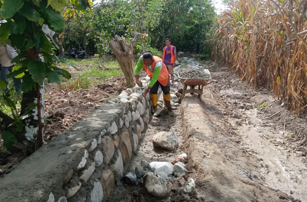 Petani Petimbe sangat senang karena sebentar lagi sawah kadang mereka tidak akan kekeringan lagi (foto : agua_beritaformat)
