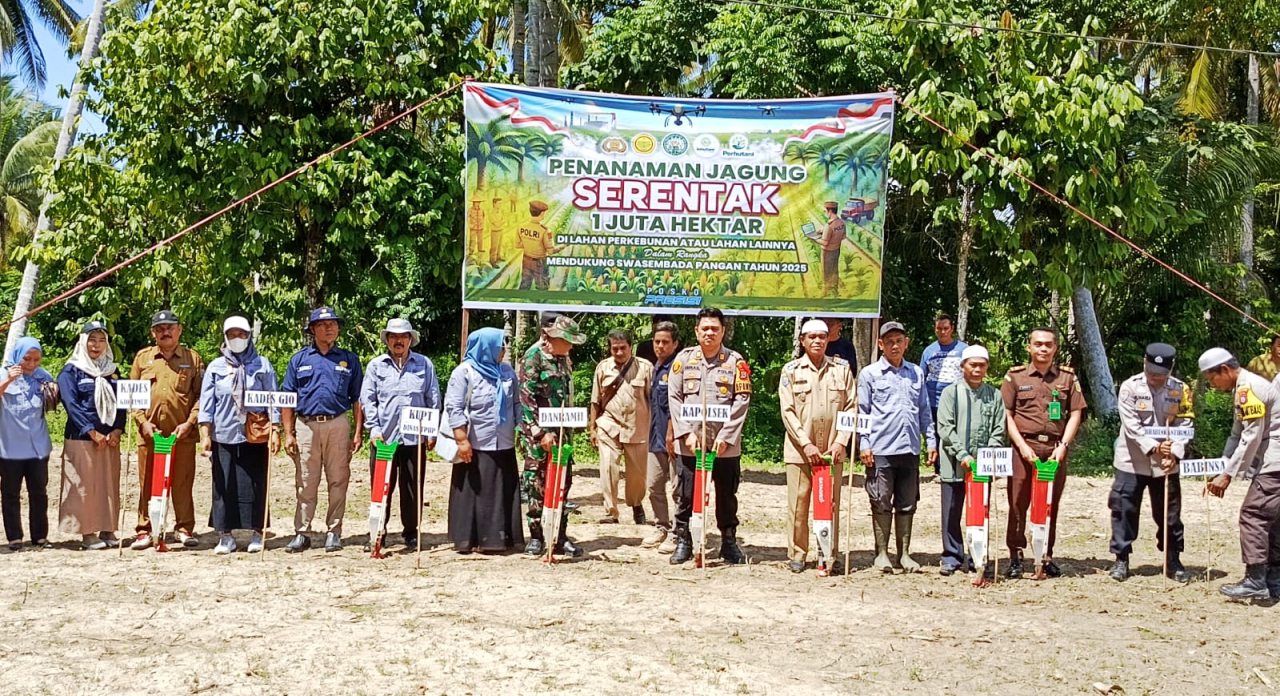 AKP Ismail bersama Forkopimcam Moutong, masyarakat dan petani saat melakukan penanaman benih jagung (foto : asri_beritaformat.com)