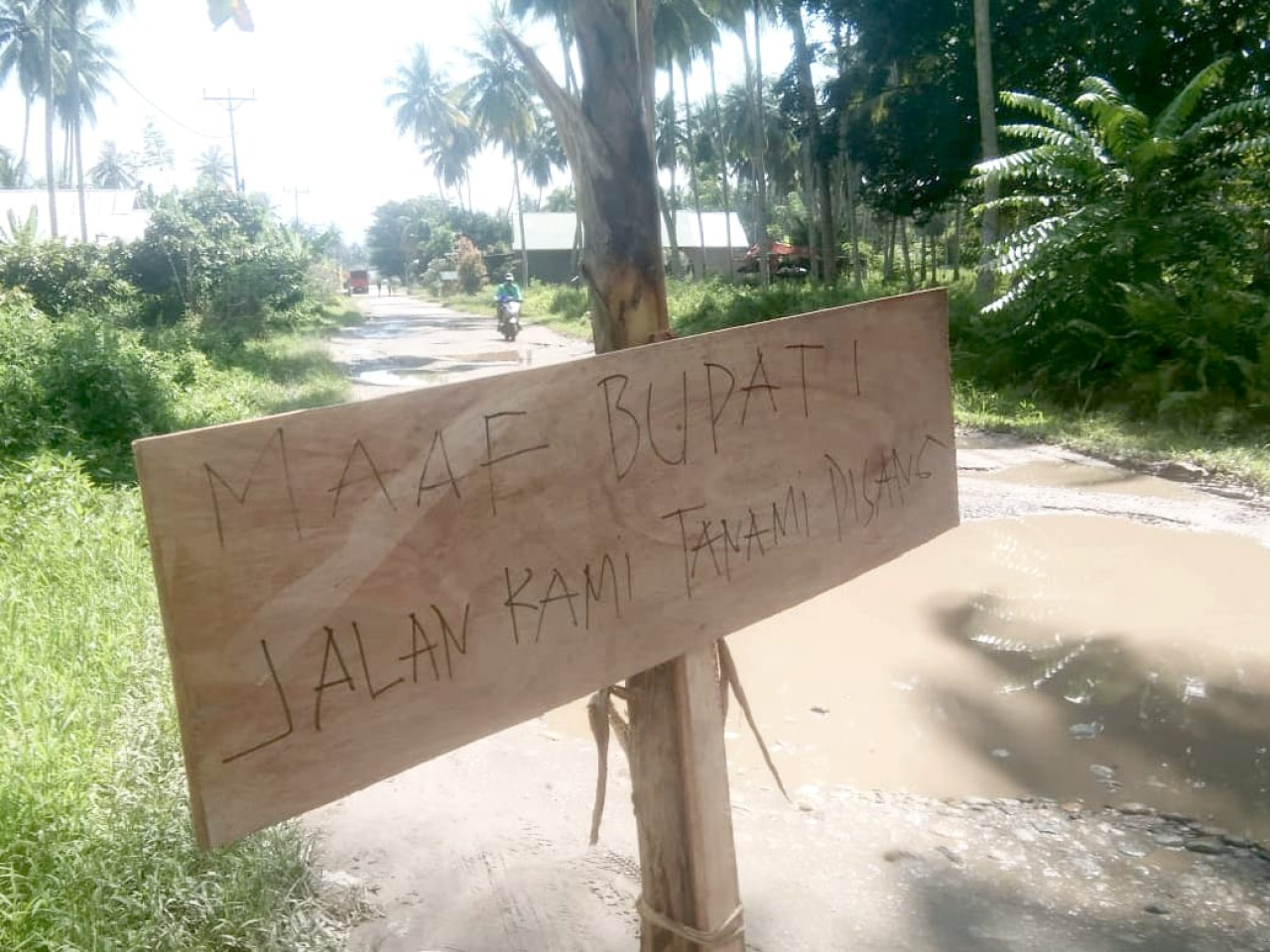 Protes warga atas kerusakan jalan yang tidak mendapatkan perhatian serius dari pemerintah (foto ; asri_beritaformat.com)
