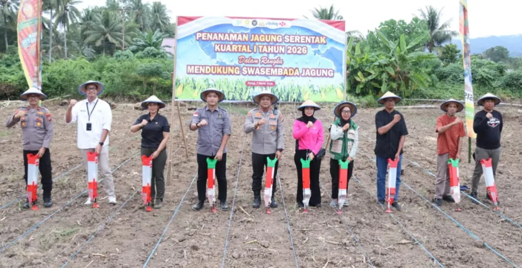 Kapolres Kabupaten Parigi Moutong, AKBP Hendrawan A. N, saat melaksanakan giat penanaman jagung bersama forkopimda, dan kelompok tani (foto : asri_beritaformat)
