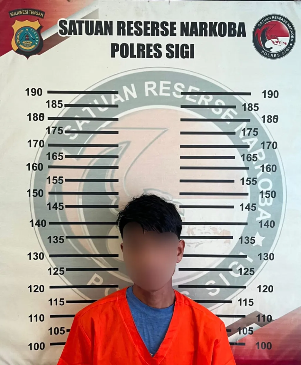 Sabu 1 Gram Bongkar Peredaran Narkoba di Sigi: Pria 29 Tahun Dibekuk Polisi