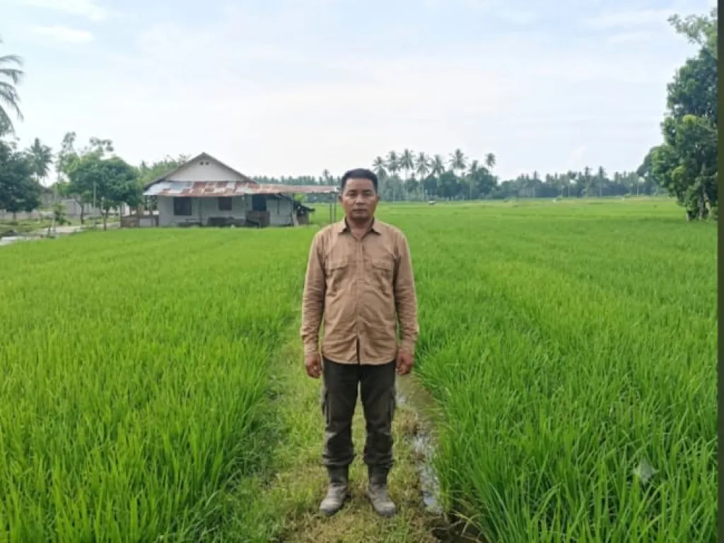 BPP Dolo Selatan Genjot Produksi Pertanian, Perkuat Ketahanan Pangan di Sigi