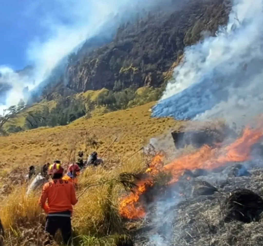 10 Hektare Hutan TNBTS Terbakar, Petugas Bertaruh Nyawa Jinakkan Api